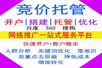 百度竞价与搜索引擎优化（SEO）结合的经典案例